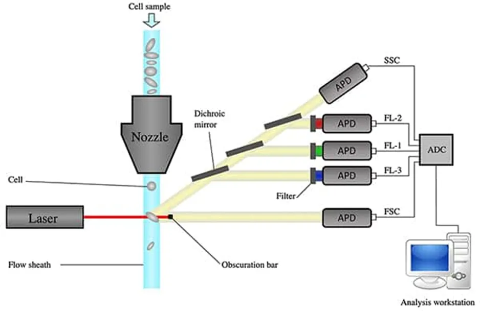 解決了！這個(gè)模塊解決了流式細(xì)胞儀設(shè)計(jì)的多個(gè)痛點(diǎn)！